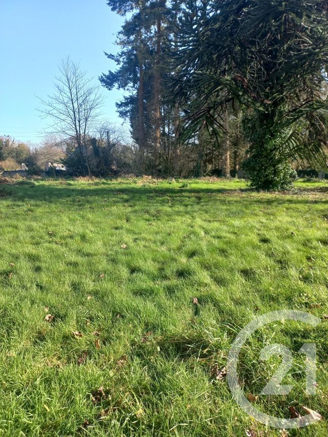 terrain à vendre - 1246.0 m2 - PLEHEDEL - 22 - BRETAGNE - Century 21 L'Immobilière De Plouha