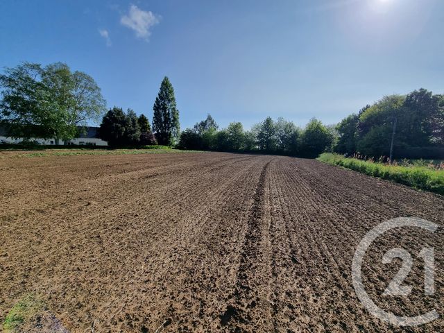 terrain à vendre - 1250.0 m2 - LANNEBERT - 22 - BRETAGNE - Century 21 L'Immobilière De Plouha