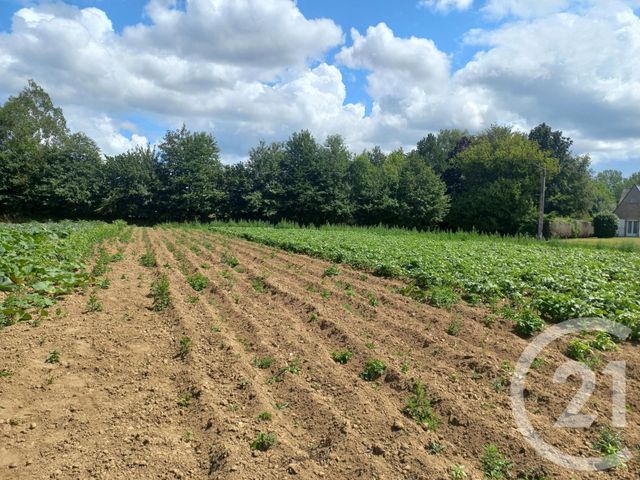 terrain à vendre - 1250.0 m2 - LANNEBERT - 22 - BRETAGNE - Century 21 L'Immobilière De Plouha