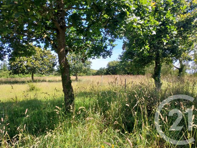 maison à vendre - 4 pièces - 115.0 m2 - PLOURIVO - 22 - BRETAGNE - Century 21 L'Immobilière De Plouha