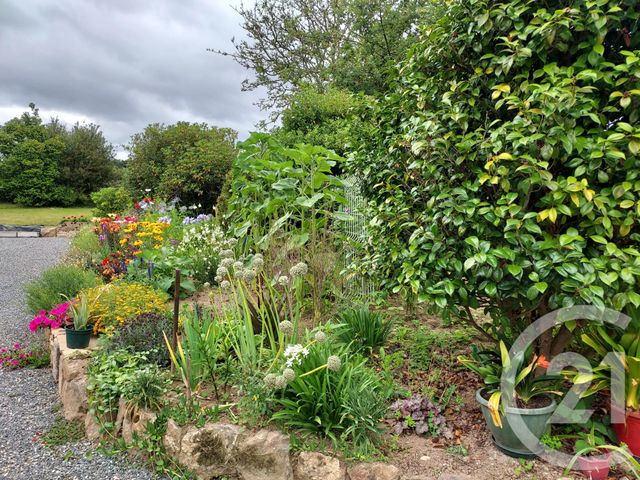 Afficher la photo en grand maison à vendre - 5 pièces - 133.0 m2 - LANNEBERT - 22 - BRETAGNE - Century 21 L'Immobilière De Plouha