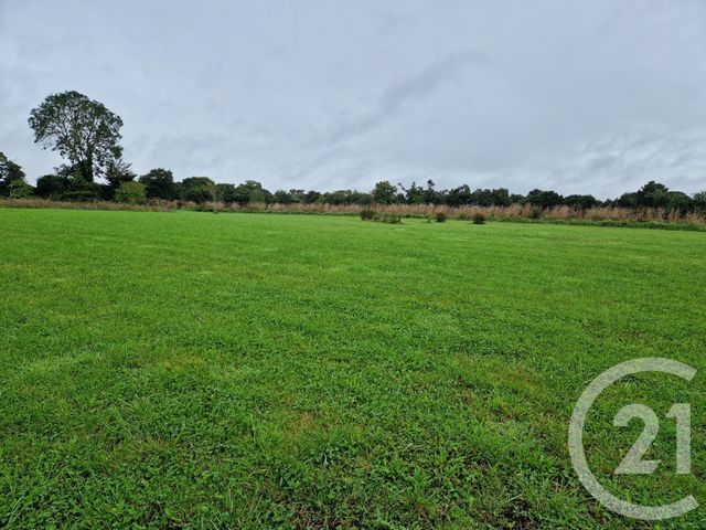 maison à vendre - 7 pièces - 190.0 m2 - KERFOT - 22 - BRETAGNE - Century 21 L'Immobilière De Plouha