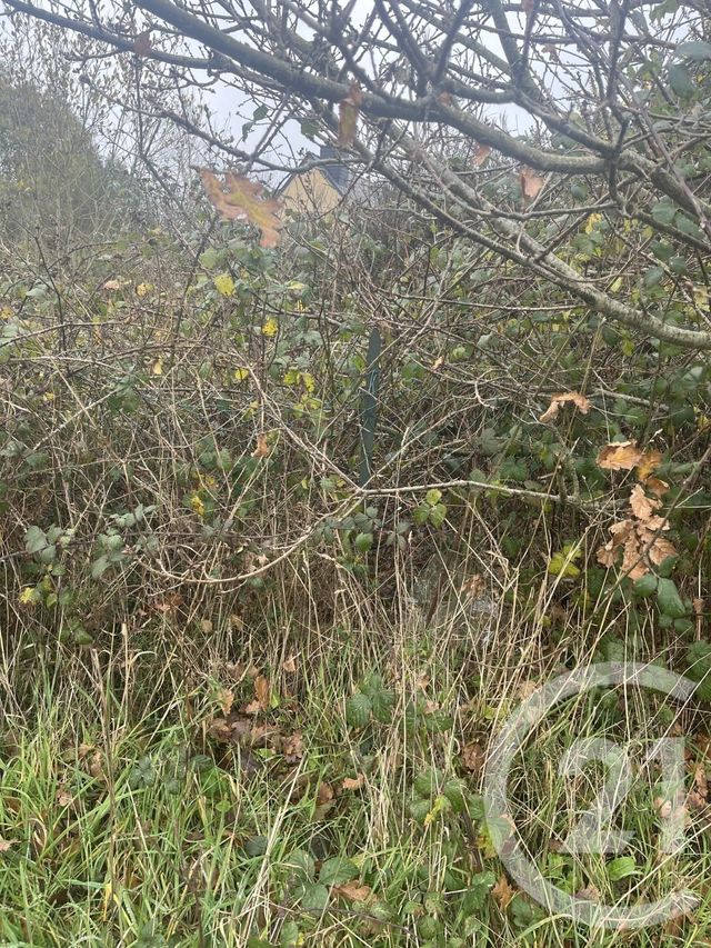 terrain à vendre - 645.0 m2 - PLOUHA - 22 - BRETAGNE - Century 21 L'Immobilière De Plouha